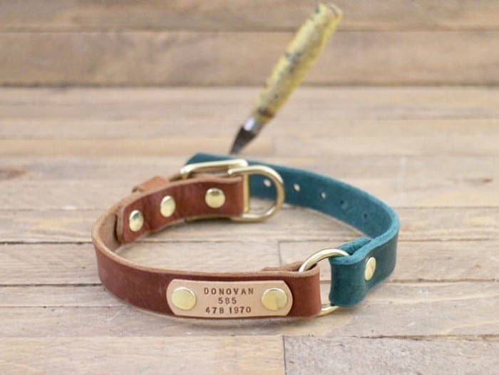 leren halsband hond